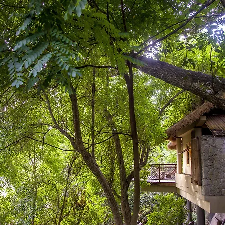 Le Domaine de L'Orangeraie Resort&Spa-2
